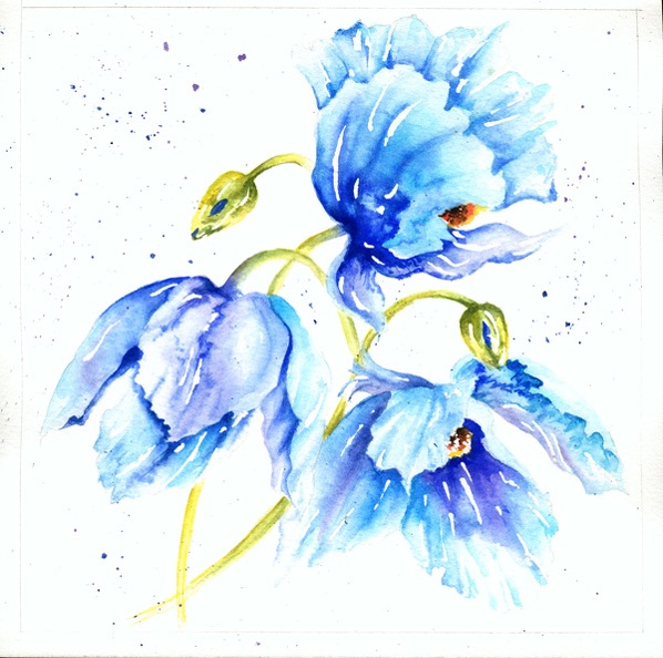 02_fleurs bleus.jpg