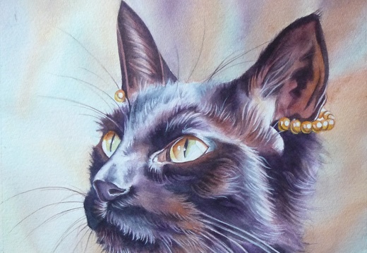chat