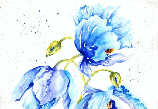Fleurs bleus